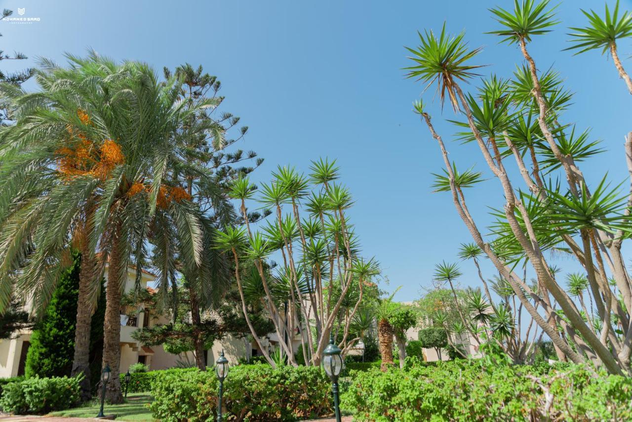 Marhaba Resort Port Said Exteriör bild